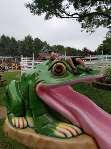 Childrens Farm «Best Long Island Pumpkin Picking», reviews and photos, 250 Old Country Rd, Melville, NY 11747, USA