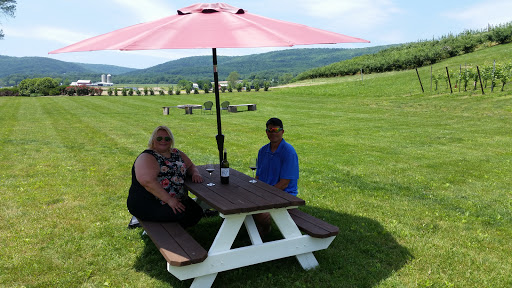 Vineyard «Catoctin Breeze Vineyard & Winery», reviews and photos, 15010 Roddy Rd, Thurmont, MD 21788, USA