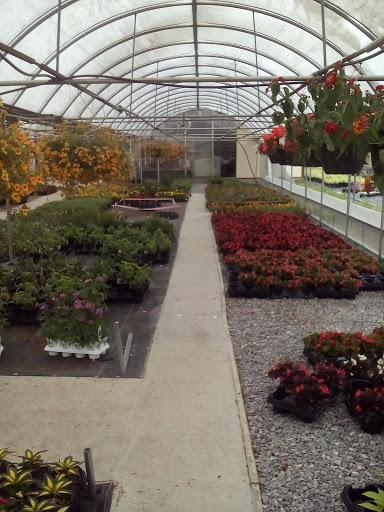 Florist «Robben Florist & Garden Center», reviews and photos, 352 Pedretti Ave, Cincinnati, OH 45238, USA