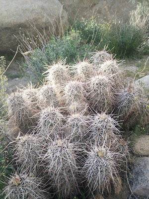 Quail Springs Trail - photo 50