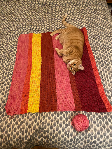 Craft Store «Fancy Tiger Crafts», reviews and photos, 59 Broadway, Denver, CO 80203, USA