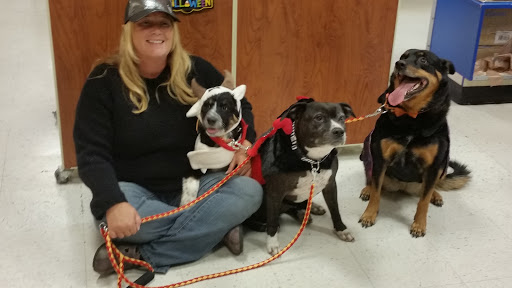 Pet Supply Store «PetSmart», reviews and photos, 7355 Market Pl Dr, Aurora, OH 44202, USA