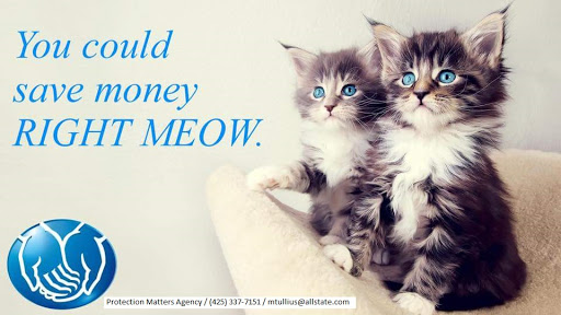 Insurance Agency «Allstate Insurance Agent: Michelle Tullius», reviews and photos