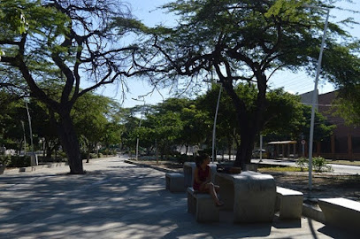 Parque Lineal Los Trupillos