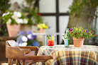 Restaurant trattoria Bellavista 54439 Saarburg