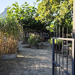 Photo n°1 de l'avis de Lars.. fait le 16/08/2023 à 21:40 sur le  Traditionsgasthaus Zum Grünen Strand der Spree à Lübbenau