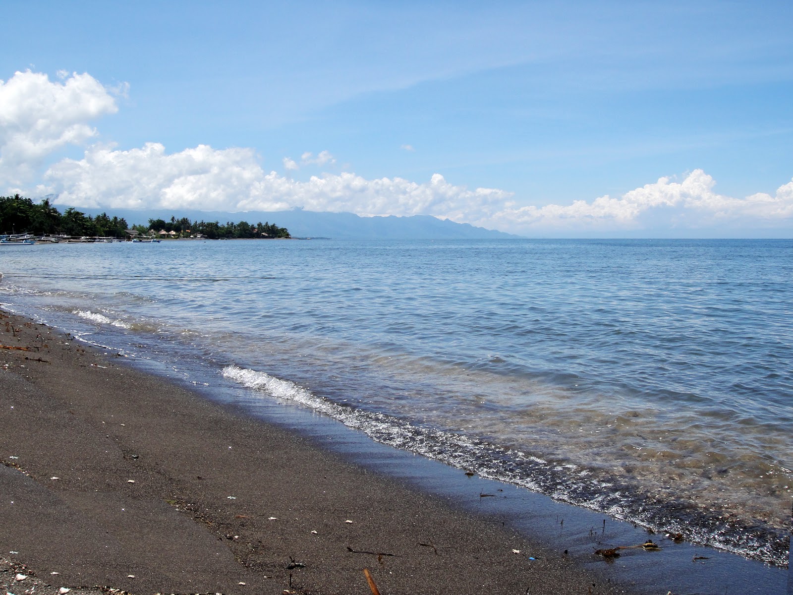 Fotografija Lovina Beach z prostorna obala