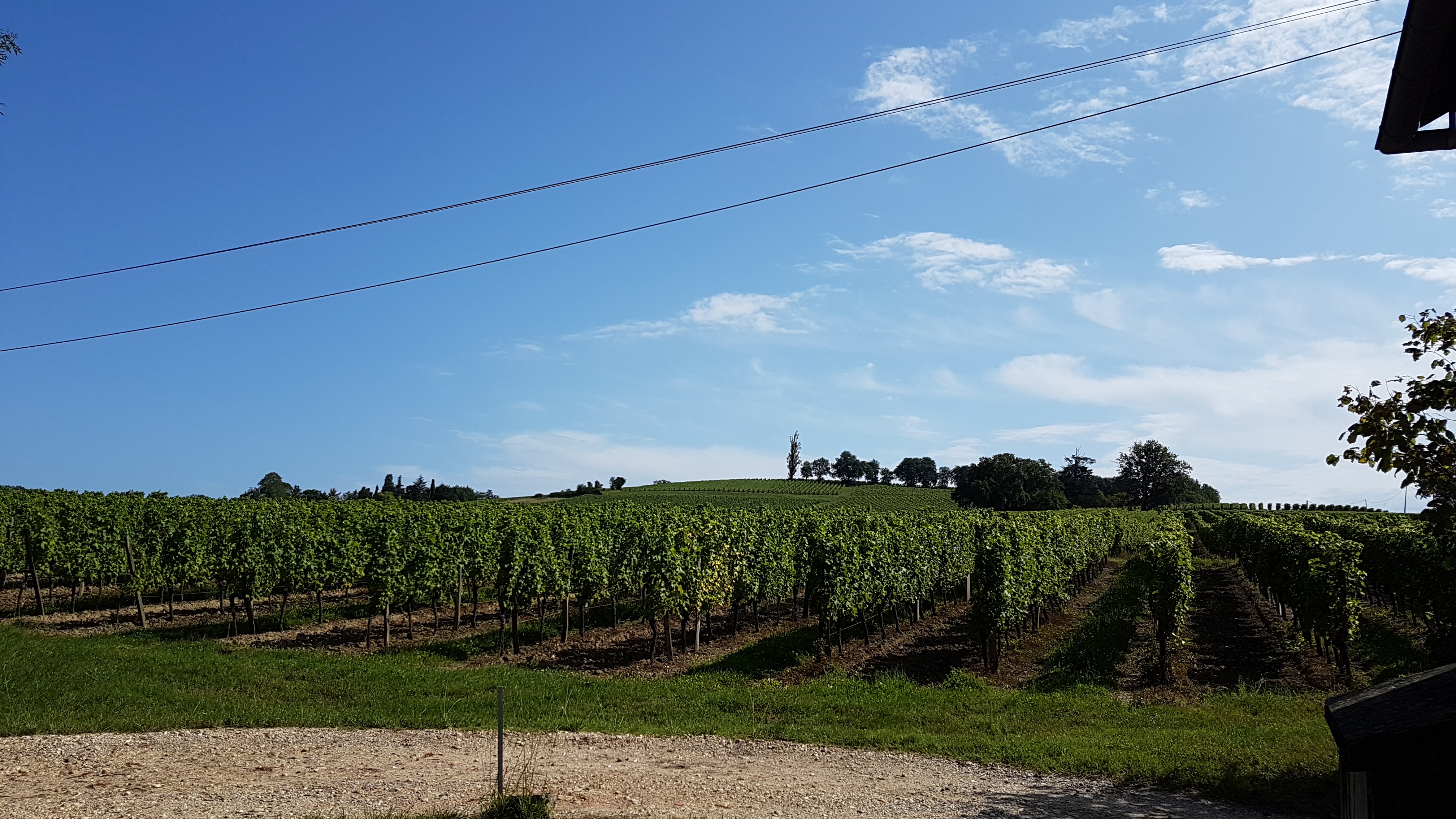 Photo n° 9 de l'avis de Gui.9 fait le 25/08/2019 à 18:57