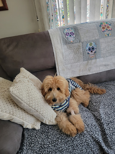 Pet Supply Store «PetSmart», reviews and photos, 2 Brick Plaza, Brick, NJ 08723, USA