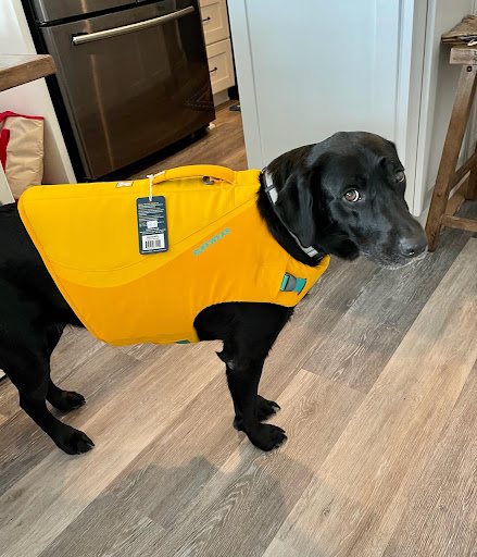 Home Insurance Agency «State Farm: Susanna Nunn», reviews and photos