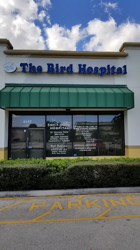 The Bird & Exotic Hospital image