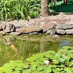 Photo n°1 de l'avis de Torsten.t fait le 11/06/2022 à 09:00 sur le  Panorama Hotel Nocturnes à Naturns