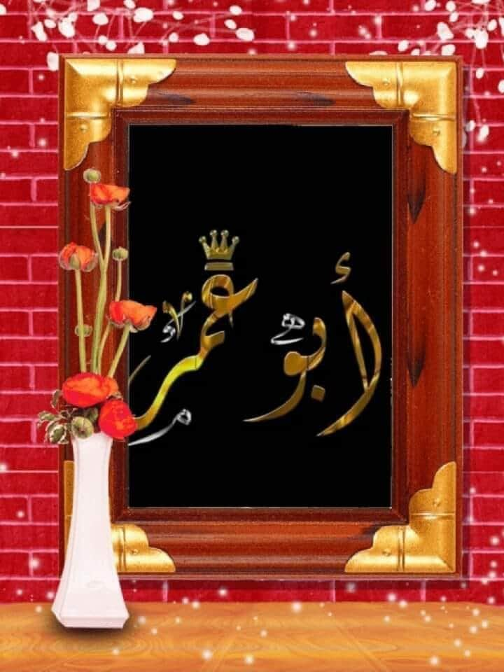 احمد عاطف لاشين