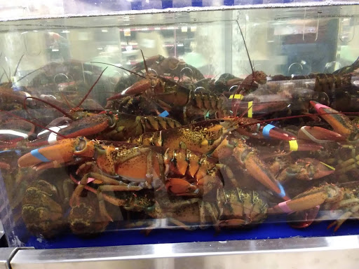 Grocery Store «Hannaford Supermarket», reviews and photos, 35 Elm St, Brunswick, ME 04011, USA