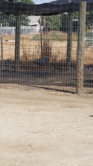 Rigid Corral - photo 4