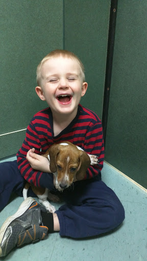 Pet Store «Petland», reviews and photos, 2123 Old Hudson Rd, St Paul, MN 55119, USA