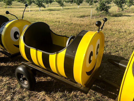 Gift Shop «Sunsational Citrus», reviews and photos, 700 N Central Ave, Umatilla, FL 32784, USA