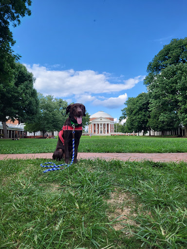 Dog Trainer «Off Leash K9 Training, Charlottesville», reviews and photos, 8782 Seminole Trail, Ruckersville, VA 22968, USA