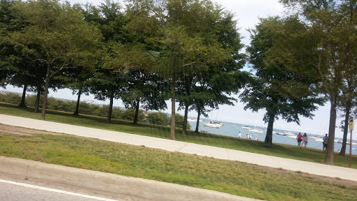 Museum «The Field Museum», reviews and photos, 1400 S Lake Shore Dr, Chicago, IL 60605, USA