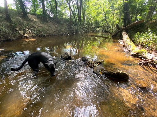 Ice Skating Rink «Pavilion Recreation Complex», reviews and photos, 400 Scottswood Rd, Taylors, SC 29687, USA