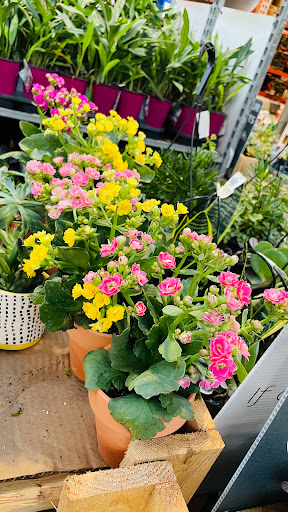 Home Improvement Store «The Home Depot», reviews and photos, 3051 E Main St, Mohegan Lake, NY 10547, USA