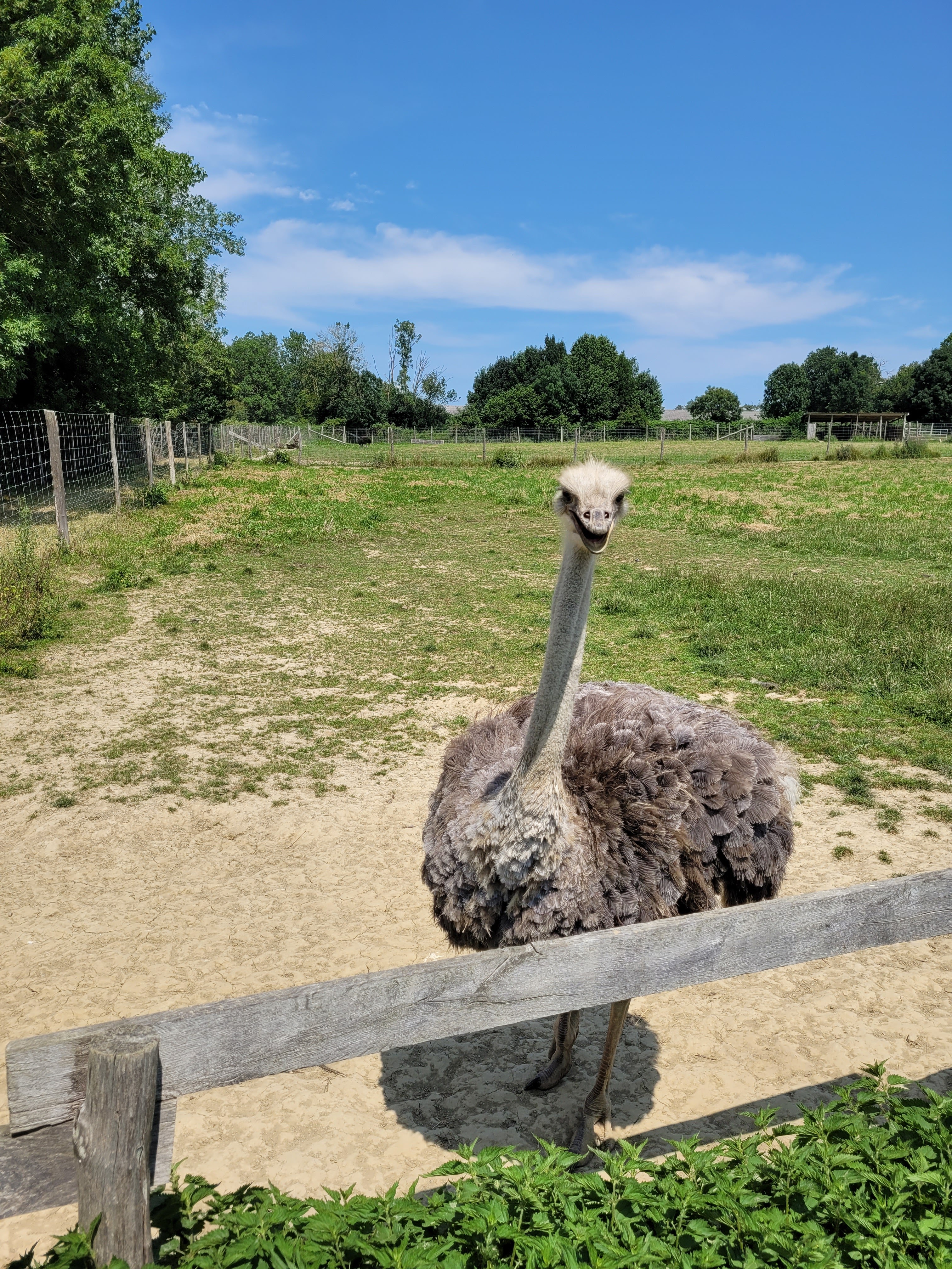 Photo n° 5 de l'avis de Stephane.n fait le 18/08/2021 à 15:08