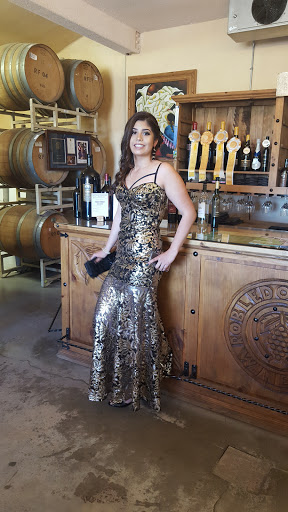 Winery «Robledo Family Winery», reviews and photos, 21901 Bonness Rd, Sonoma, CA 95476, USA