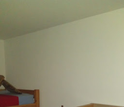 Pension am See photo