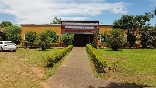 Faculty of Veterinary