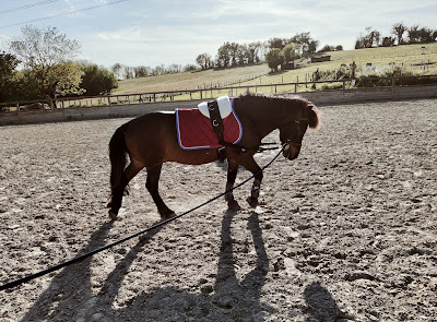 Haras du Valentier à Bonnefamille