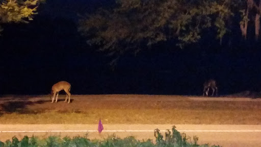 Golf Club «The River Club», reviews and photos, 6600 River Club Blvd, Bradenton, FL 34202, USA