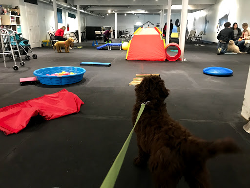 Dog Trainer «Calling All Dogs», reviews and photos, 6088 S Highland Dr, Holladay, UT 84121, USA