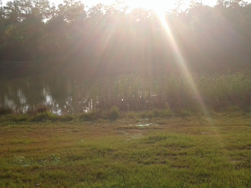 Park «Lake Houston Wilderness Park», reviews and photos, 25840 FM 1485, New Caney, TX 77357, USA