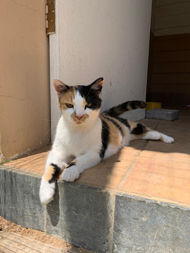 DAWSON LODGE - Veterinarian