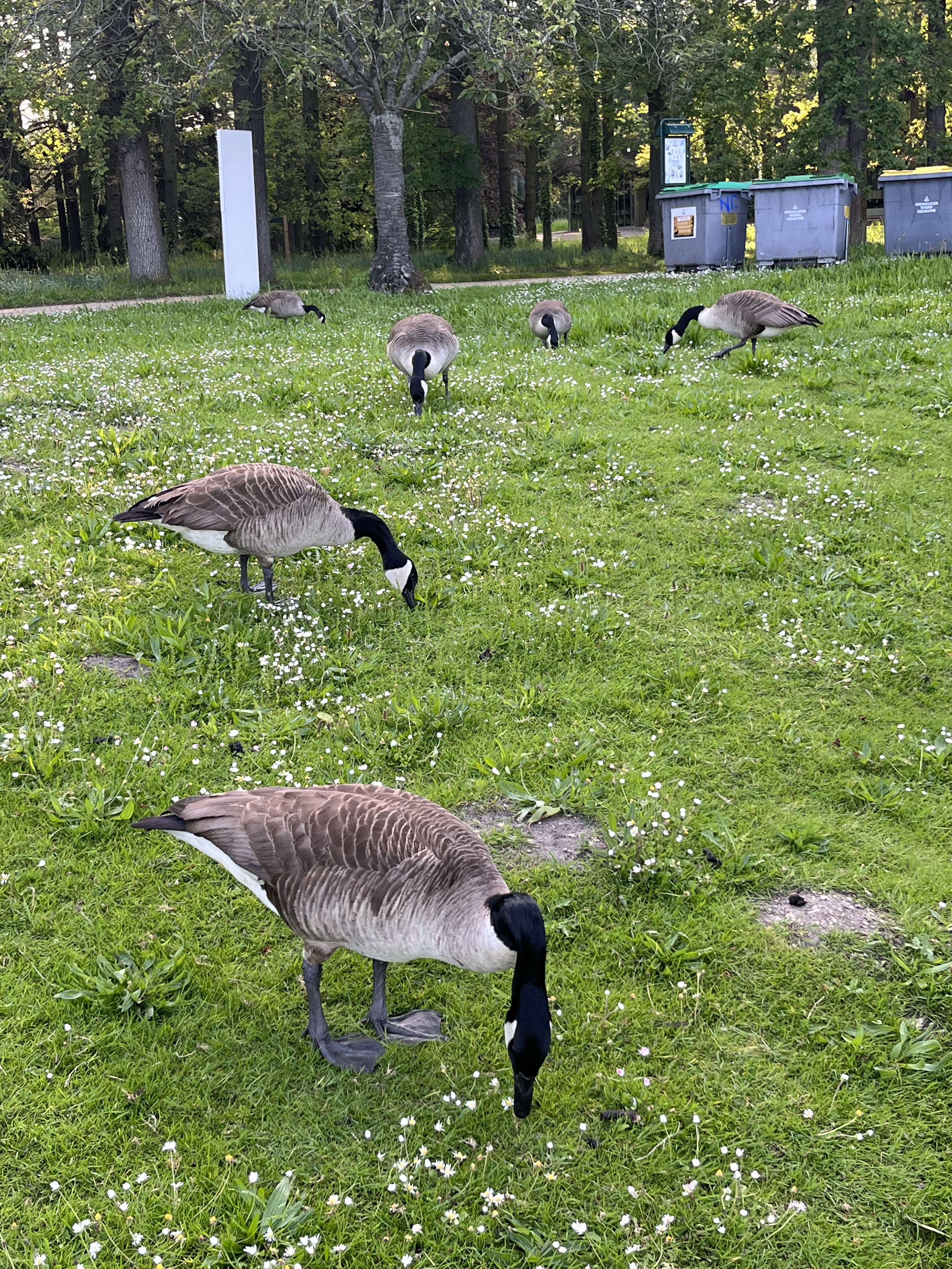 Photo n° 2 de l'avis de Md.n fait le 03/06/2023 à 06:33