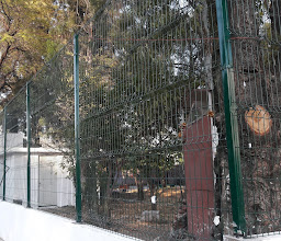 Dionisio Acosta Garden photo