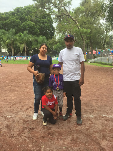 Campo de las estrellas Beisbol