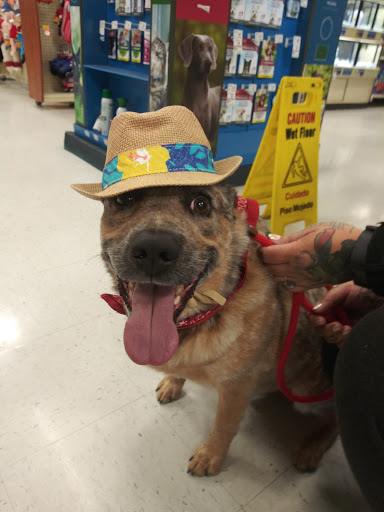 Pet Supply Store «PetSmart», reviews and photos, 3081 S 5600 W, Salt Lake City, UT 84120, USA