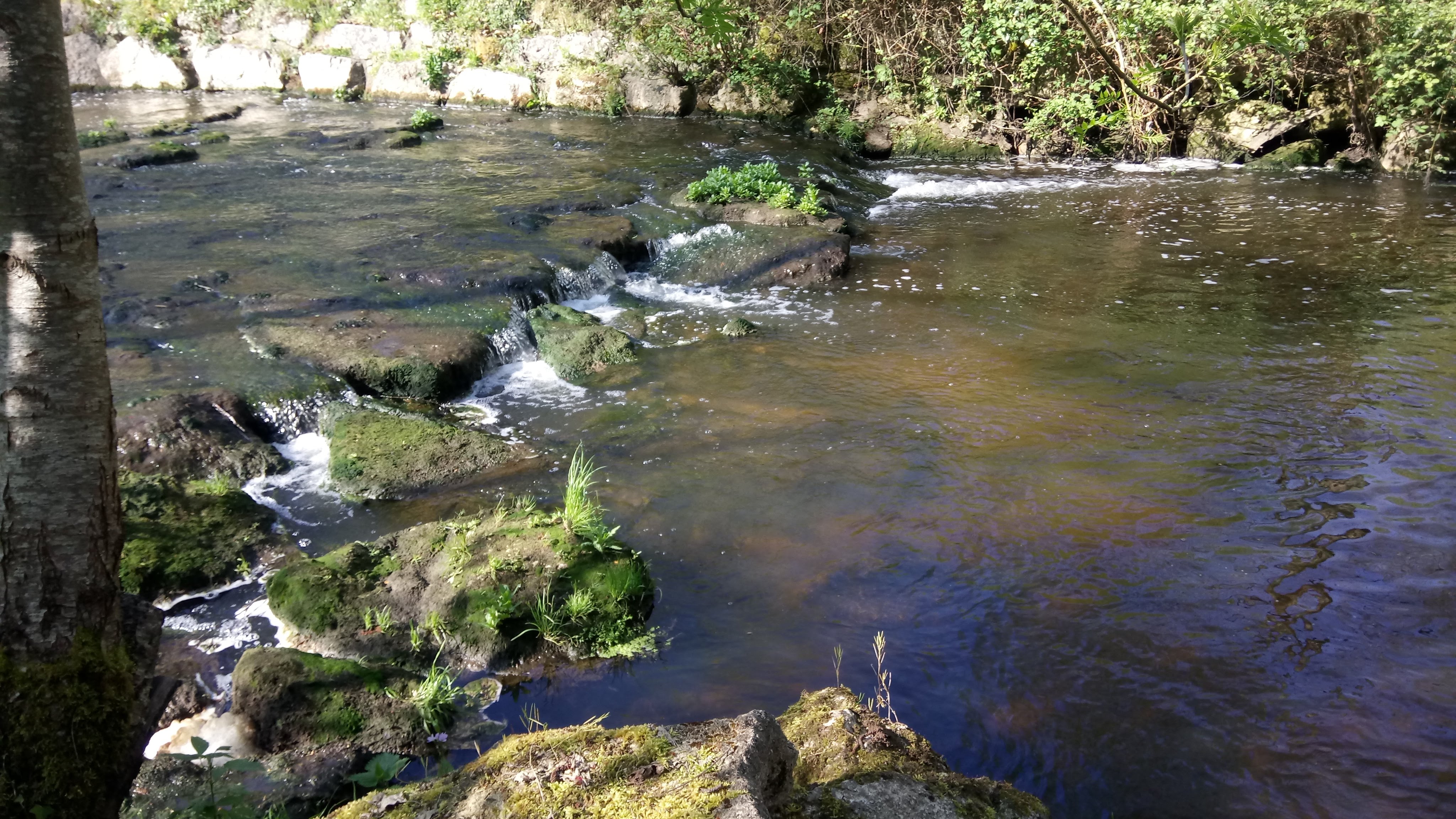 Photo n° 2 de l'avis de Agnès.E fait le 27/04/2019 à 09:21