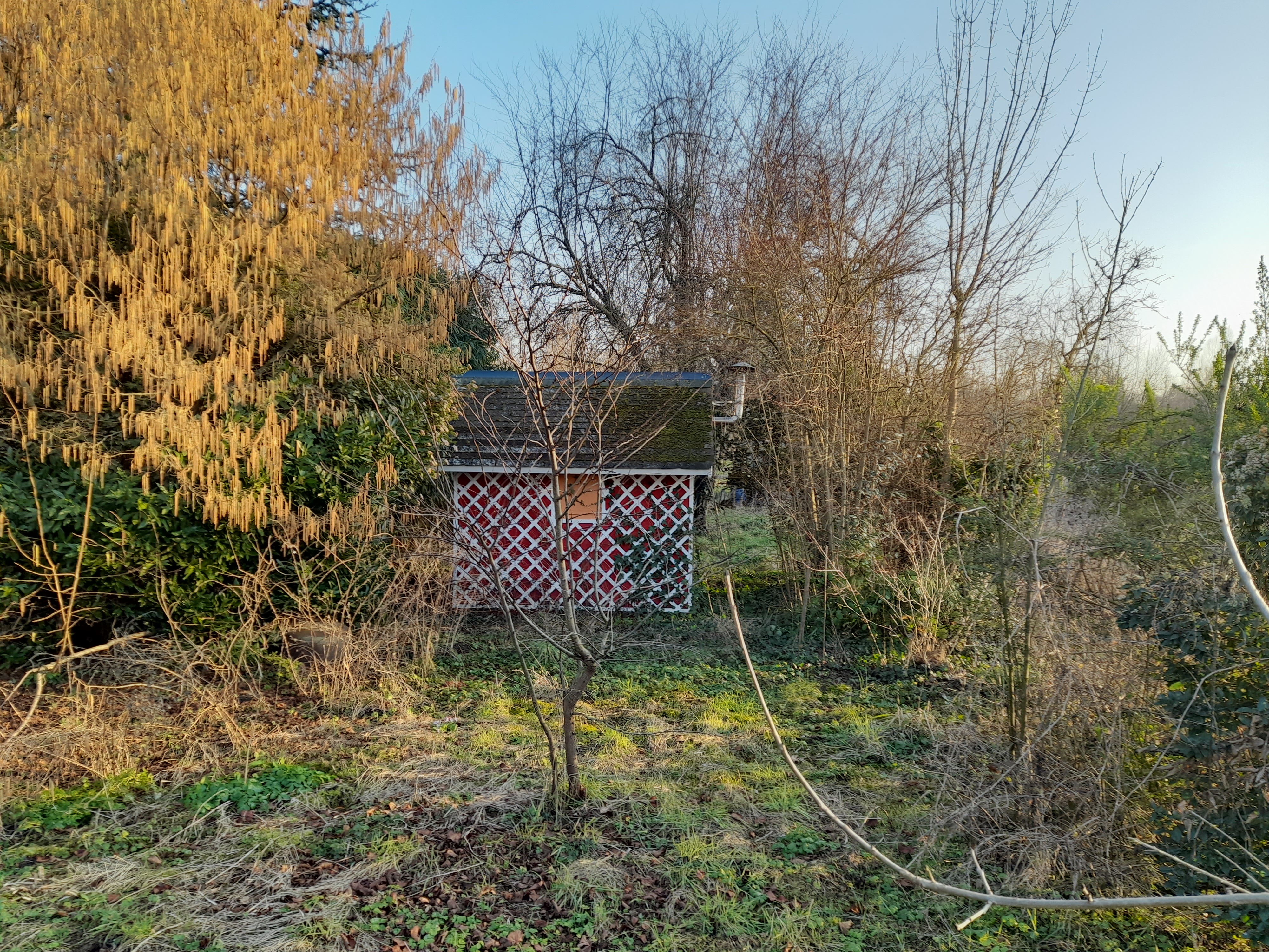 Photo n° 43 de l'avis de gilles.a fait le 11/02/2023 à 23:07