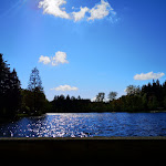 Photo n°2 de l'avis de Andrea.e fait le 03/06/2021 à 18:10 sur le  Hotel Waldsee à Lindenberg im Allgäu