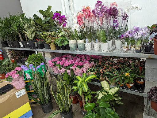 Home Improvement Store «The Home Depot», reviews and photos, 1000 Vision Dr, Apex, NC 27523, USA