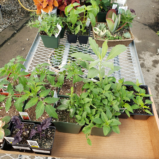 Garden Center «Nanticoke Gardens», reviews and photos, 1543 Union Center Maine Hwy, Endicott, NY 13760, USA