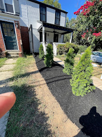 Beavers Tree Services, LLC - Photo 9 - Car repair in , Washington