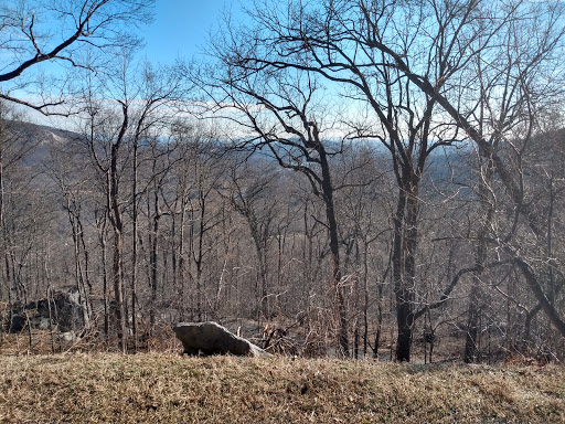 Observation Deck «Chimney Rock», reviews and photos, 431 Main St, Chimney Rock, NC 28720, USA