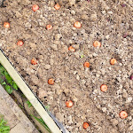 Photo n° 3 de l'avis de Stephan.r fait le 25/04/2023 à 08:23 pour MOTIN Frères VALOGNES à Valognes