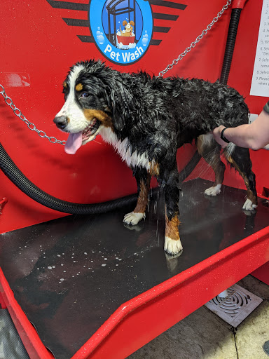 Car Wash «4 Seasons Express Car Wash», reviews and photos, 4710 Roosevelt Blvd, Middletown, OH 45044, USA