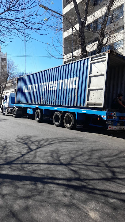 Empresa logistica LIONEL Fletes Transporte Mudanzas Viajes al Interior