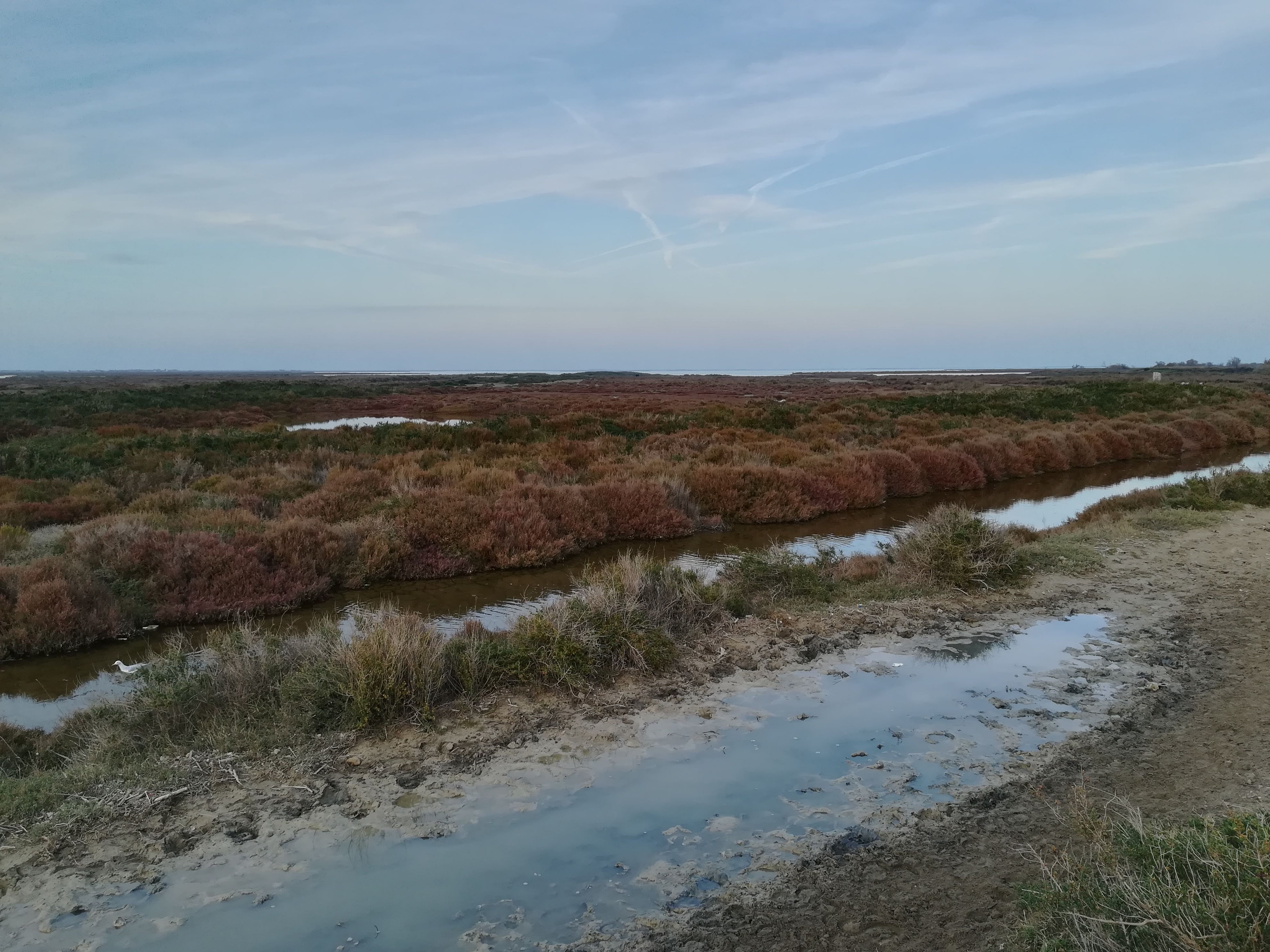 Photo n° 2 de l'avis de Giuseppe. fait le 14/01/2020 à 22:32