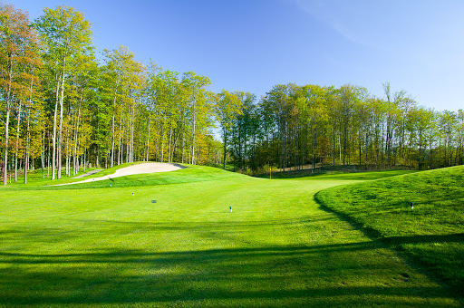 Public Golf Course «Bahle Farms Golf Course», reviews and photos, 9505 E Otto Rd, Suttons Bay, MI 49682, USA